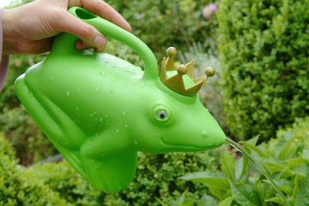 Frog Watering Can