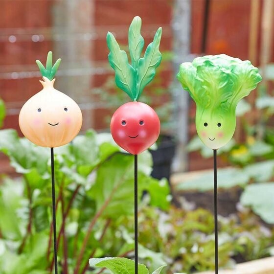 Veggies - Lettuce, Onion, Radish Loony Stakes