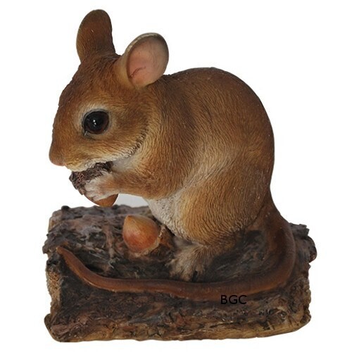 Dormouse