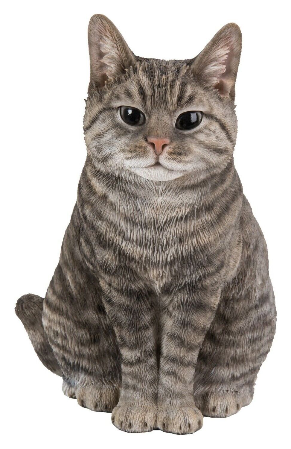 Sitting Cat Tabby