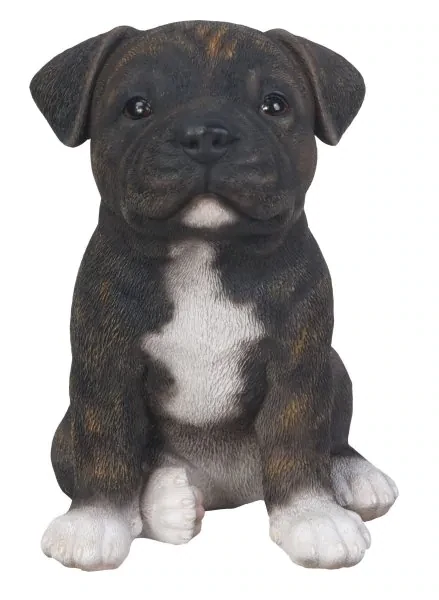 Staffordshire Terrier Brindle