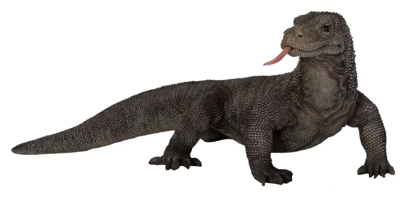 Komodo Dragon