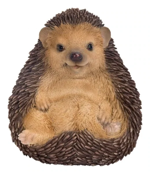 Sitting Baby Hedgehog