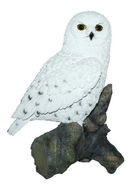 Snowy Owl