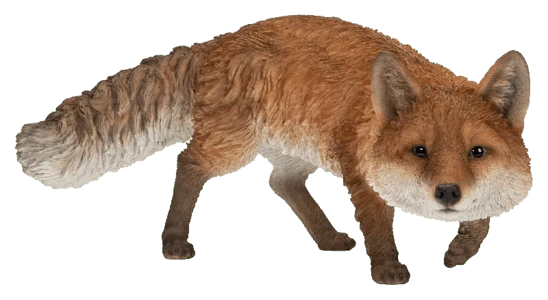 Prowling Fox