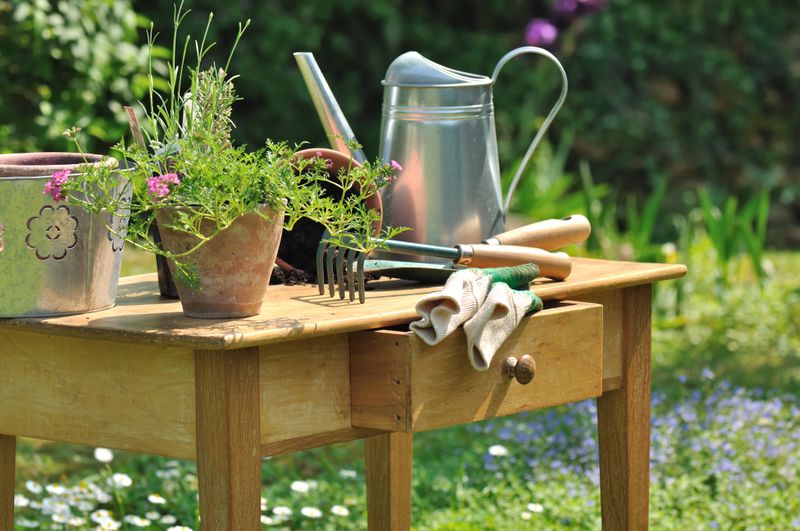 Garden Accessories