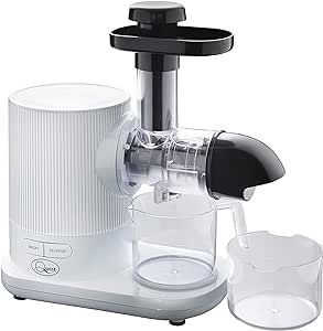 Quest Slow Masticating Juicer 31119