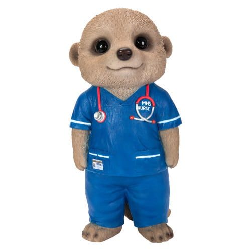 Baby Meerkat Nurse