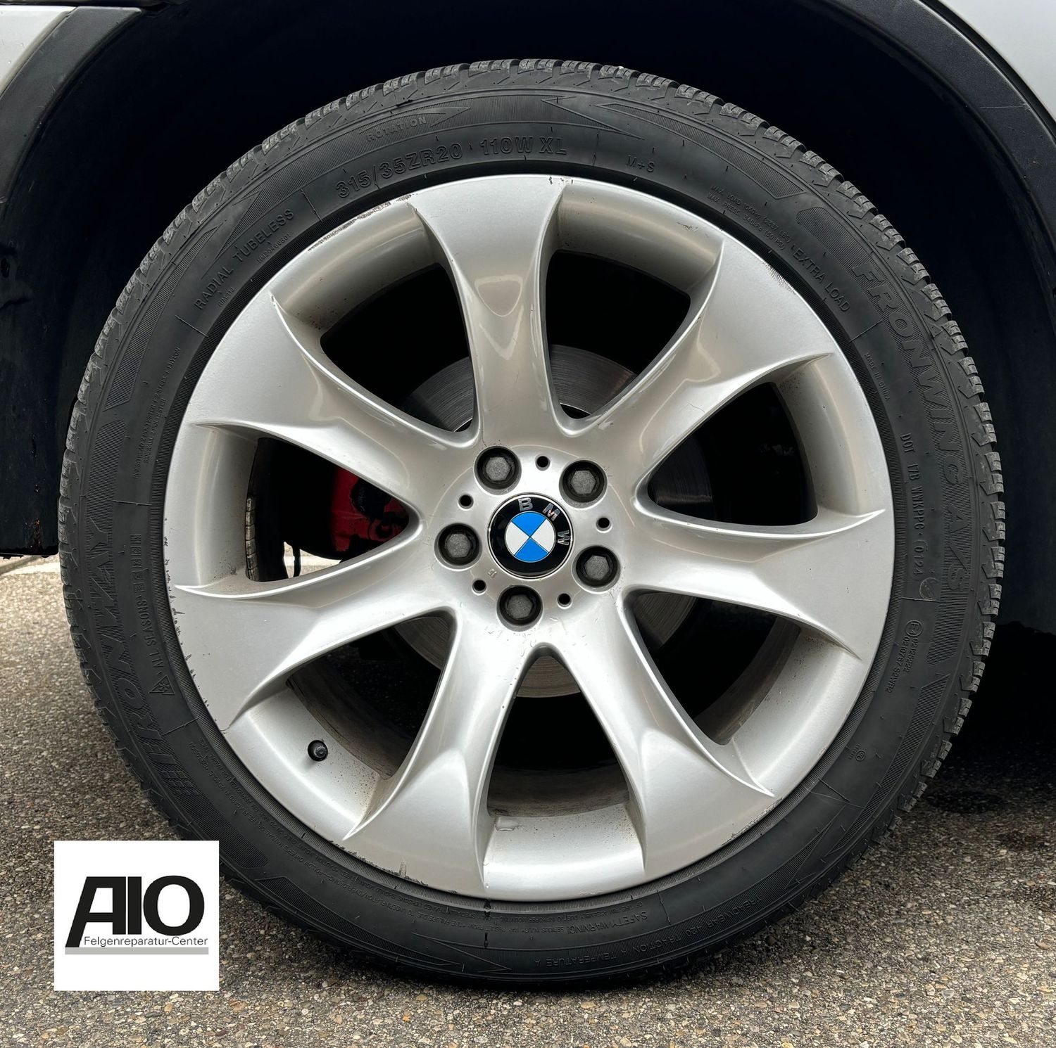 LF1 Original BMW Felge 36116766068 - Styling 168 V-Speiche Silber VA - X5 Typ E53 1999-2006