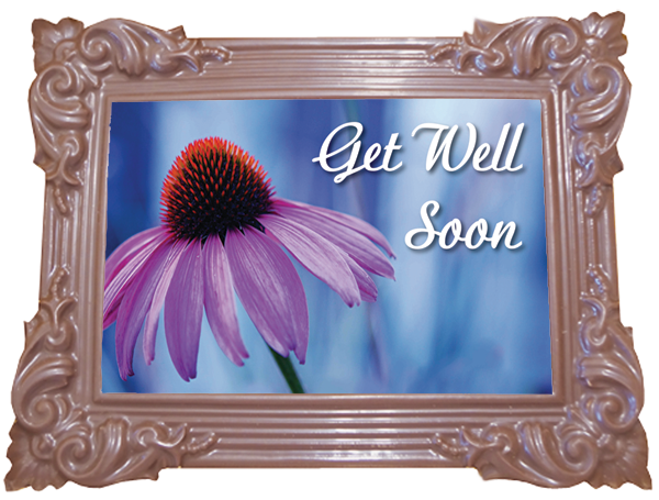 Large Frame TRADITIONAL