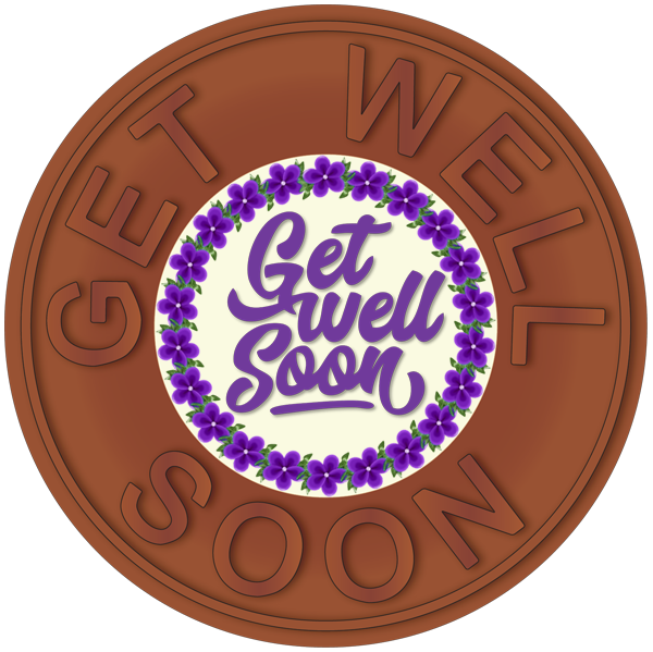 Get Well Disc