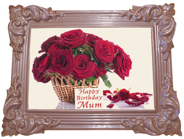 Large Frame TRADITIONAL
