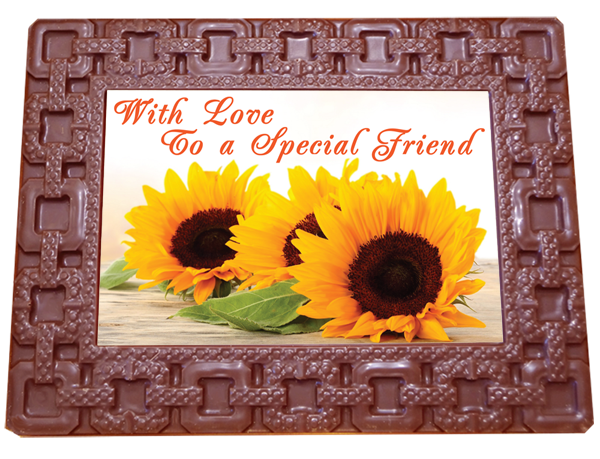 Large Frame SQUARES