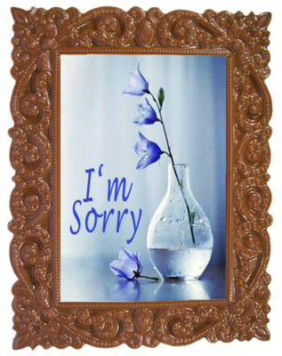 SORRY