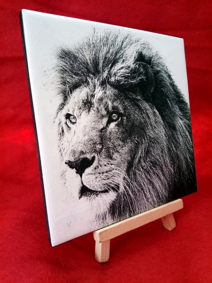 création gravure laser sur carrelage portrait Lion