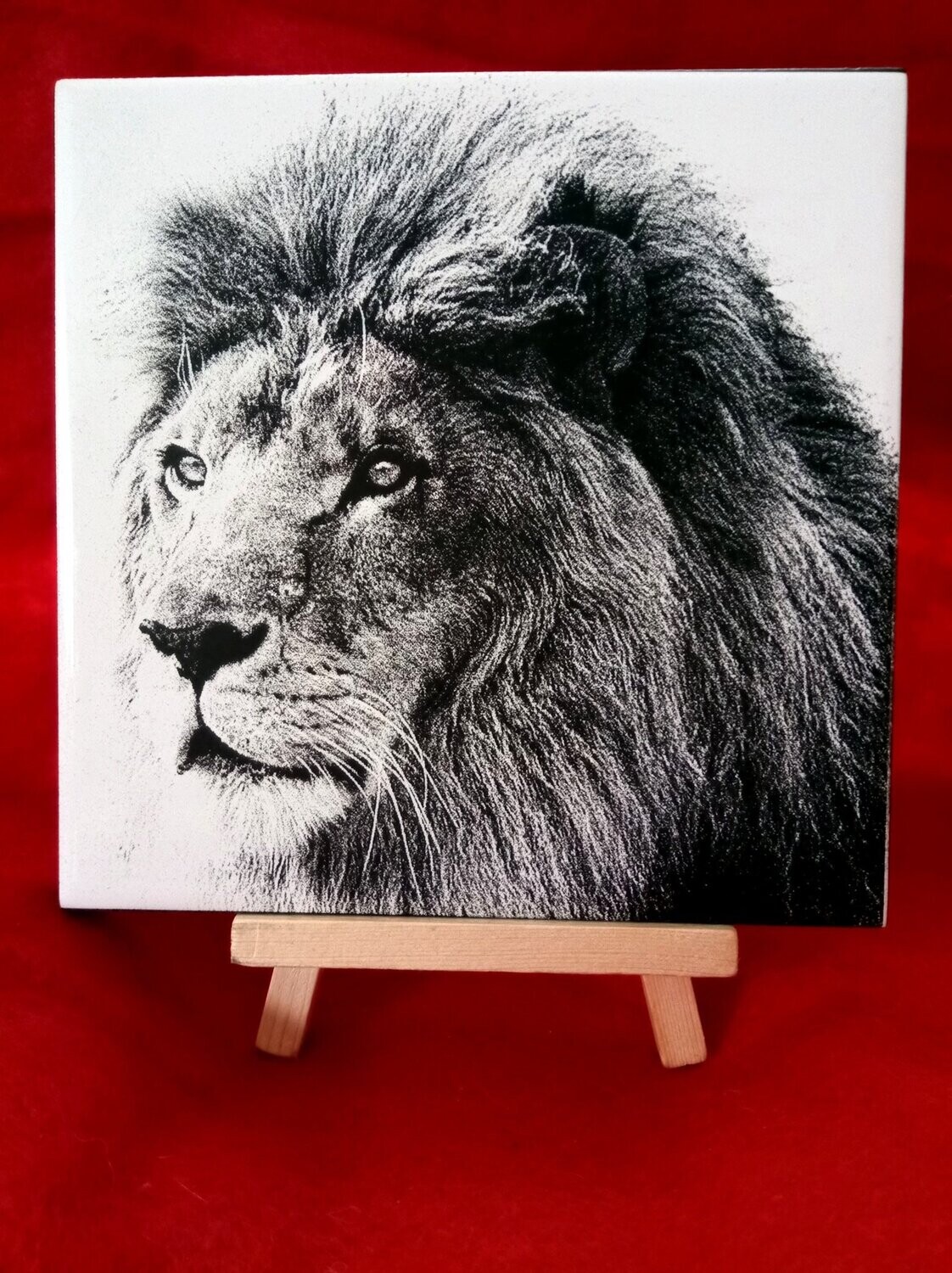 création gravure laser sur carrelage portrait Lion