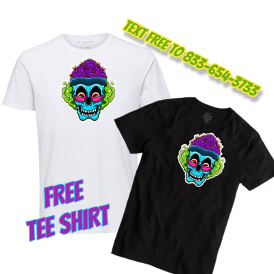 Free tee shirt purple skull