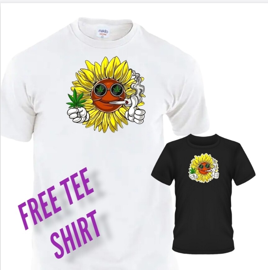 Free 🌞 sunflower
