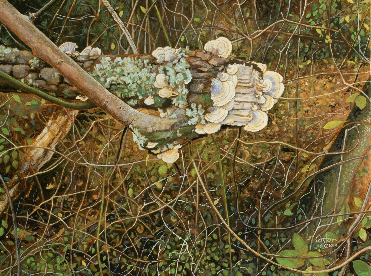 Undergrowth - Original Painting