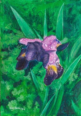 Purple Iris - Original Painting