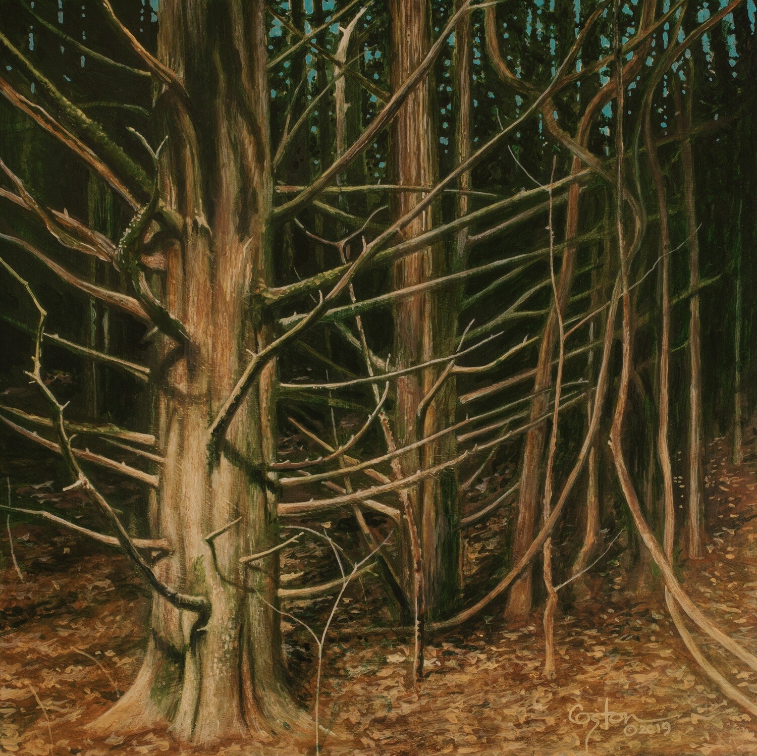 Cedar Thicket - Original Painting