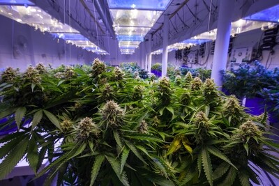 Indoor