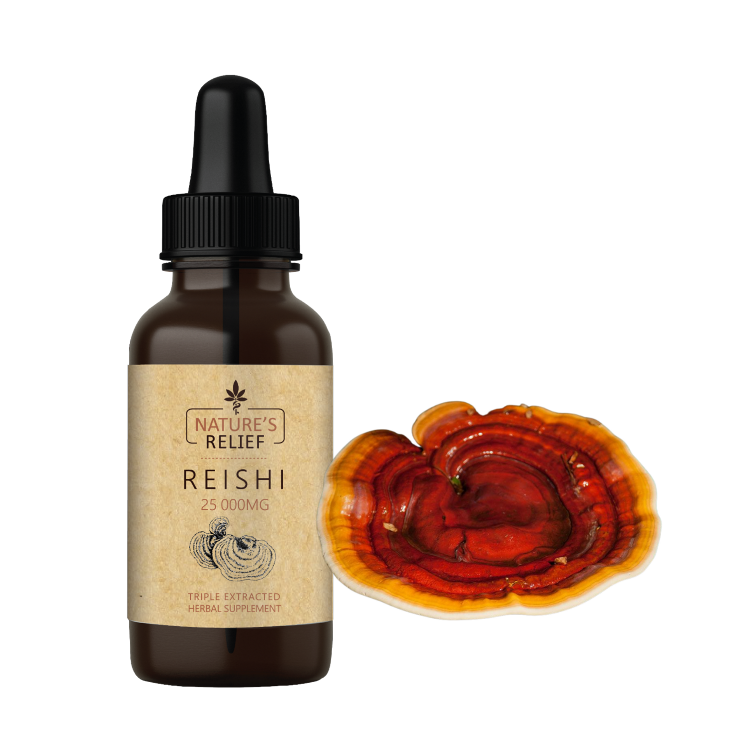 Reishi Mushroom Tincture 30ml - Nature&#39;s Relief
