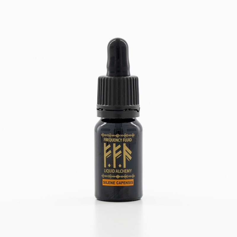 Silene Capensis (Dream Root) Botanical Extract 10ml - Frequency Fluid