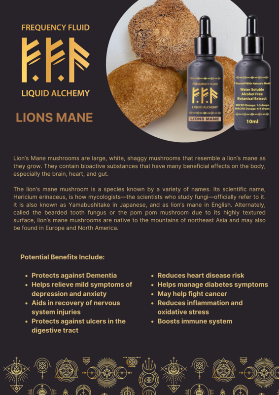 Lion's Mane Mushroom Botanical Extract 10ml - Frequency Fluid