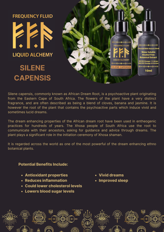 Silene Capensis (Dream Root) Botanical Extract 10ml - Frequency Fluid