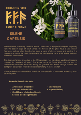 Silene Capensis (Dream Root) Botanical Extract 10ml - Frequency Fluid