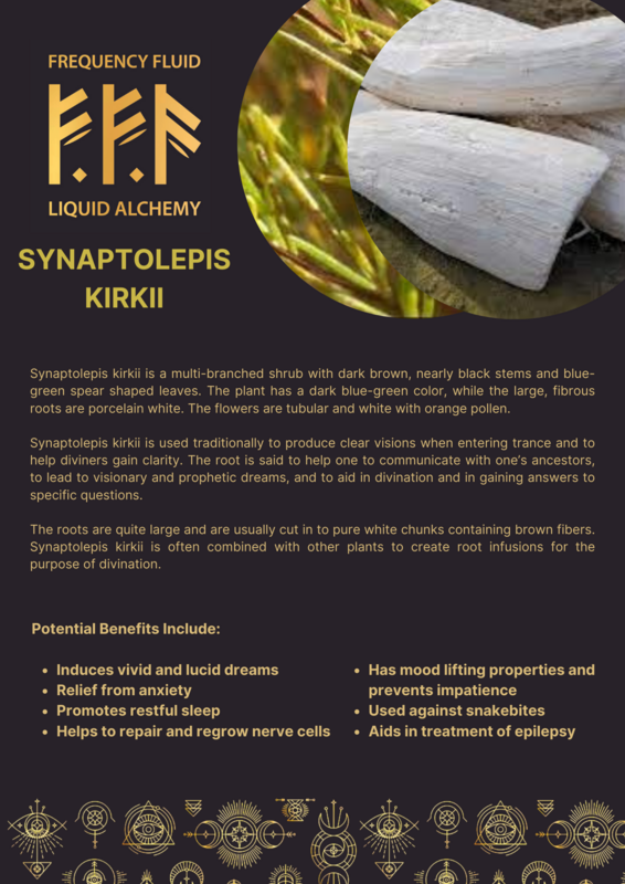 Synaptolepis Kirkii (Dream Root) Extract 10ml - Frequency Fluid