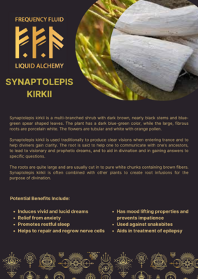 Synaptolepis Kirkii (Dream Root) Extract 10ml - Frequency Fluid