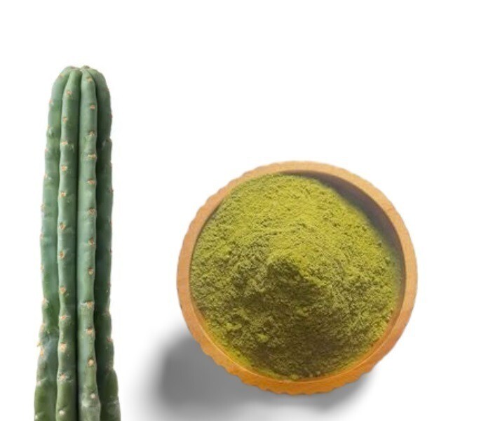 10g San Pedro Cactus Powder