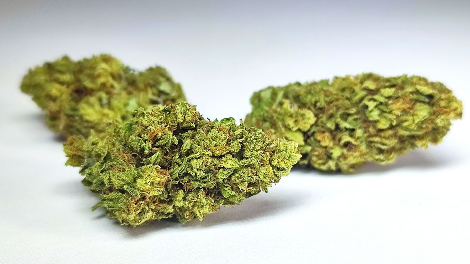 White Widow Outdoor p/g
