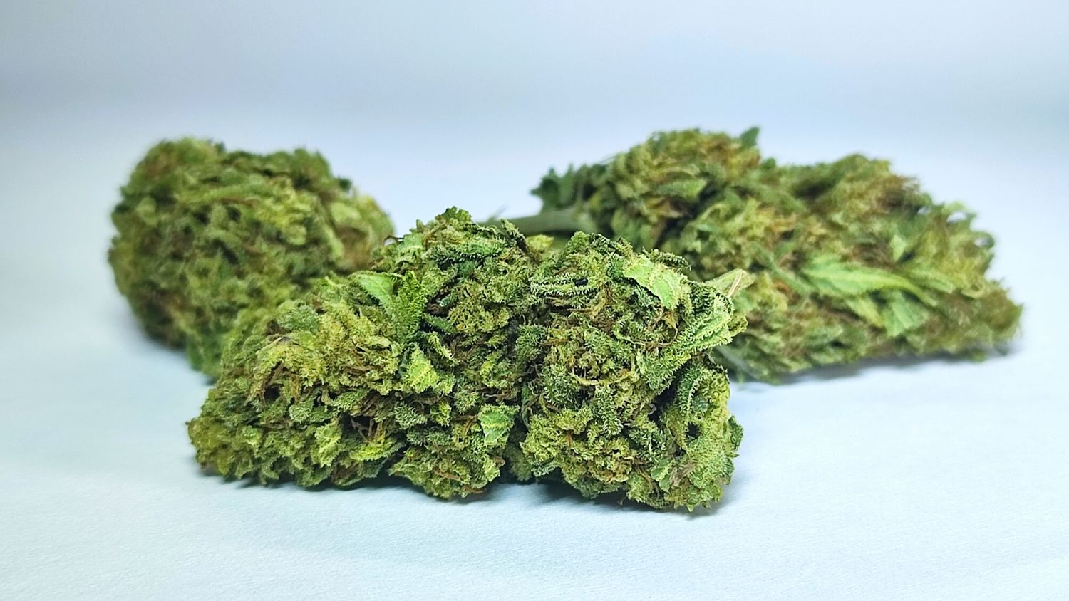 Dirty Kush Breath Outdoor p/g