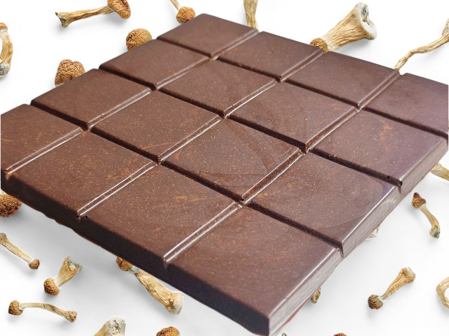 16g P. cubensis Mushroom Swiss Chocolate Slab