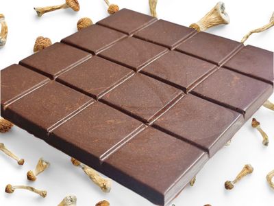 P. cubensis Mushroom Swiss Chocolate Slab (6g, 16g, 32g, 48g) – In Stock