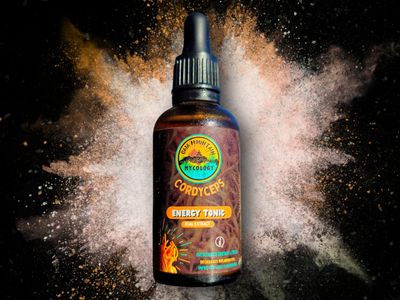 Cordyceps Mushroom Tincture 50ml - Gaia Mountain Mycology