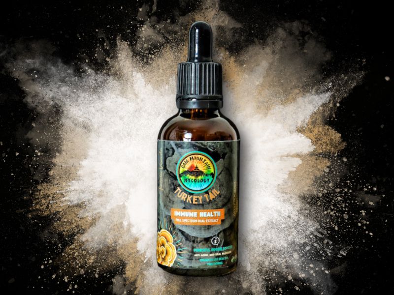 Turkey Tail Mushroom Tincture 50ml - Gaia Mountain Mycology
