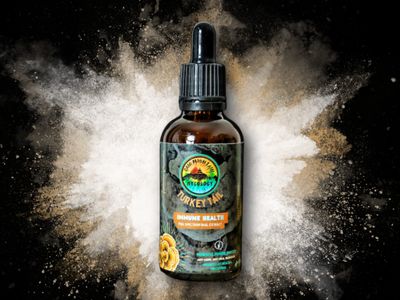 Turkey Tail Mushroom Tincture 50ml - Gaia Mountain Mycology