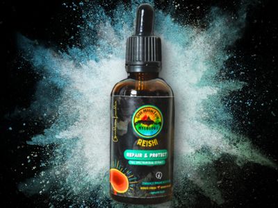 Reishi Mushroom Tincture 50ml - Gaia Mountain Mycology