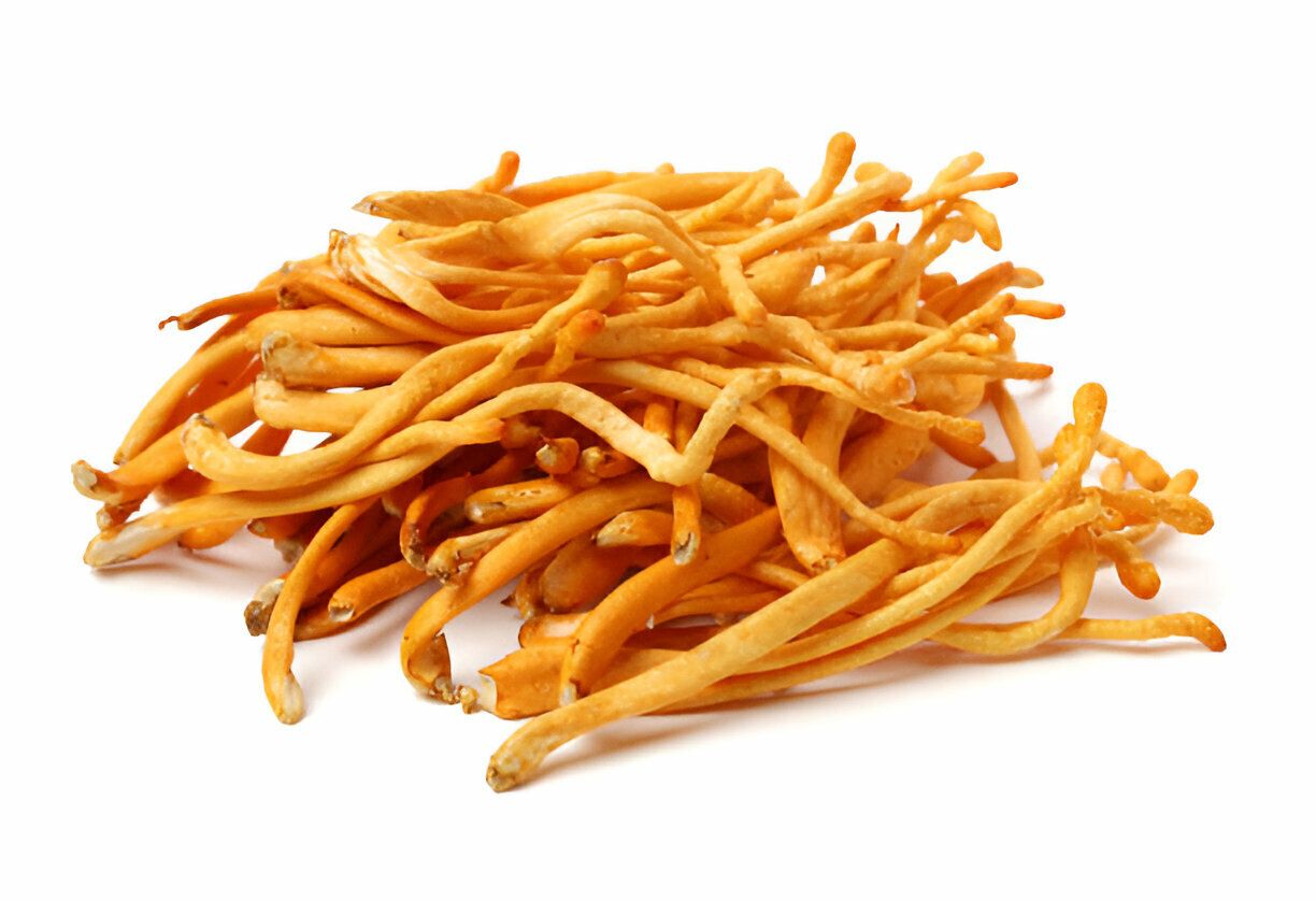 100g Cordyceps Dried Medicinal Mushroom