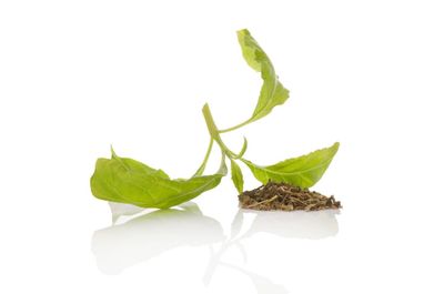 Entheogenic Plants
