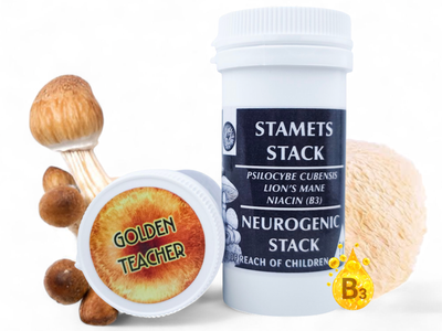 Stamets Stack - Neurogenic Mushroom Microdose Capsules (x30) - NMSA