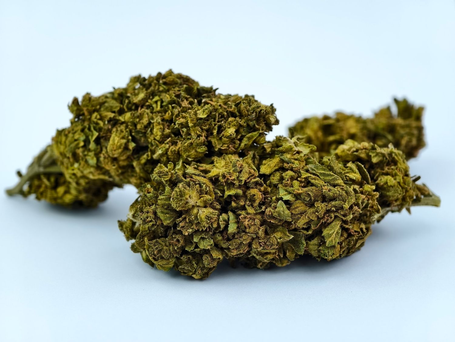 Gelato #33 Premium Outdoor p/g
