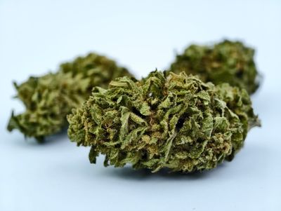 Blue Cheese Premium Outdoor p/g