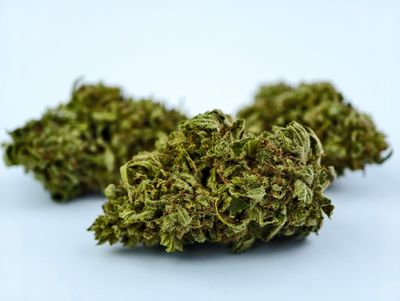 Skunk Cake Premium Outdoor p/g