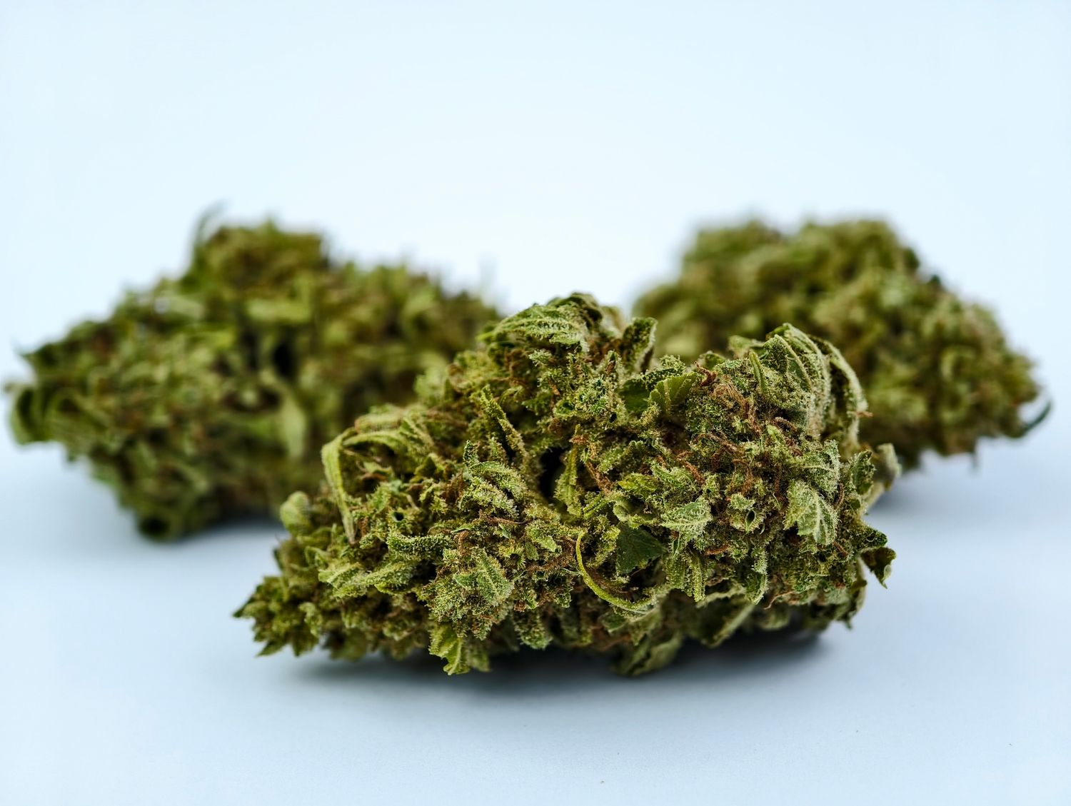 Skunk Cake Premium Outdoor p/g