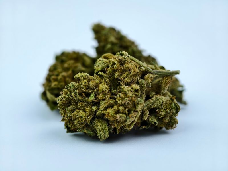 Wedding Cake Premium Outdoor p/g